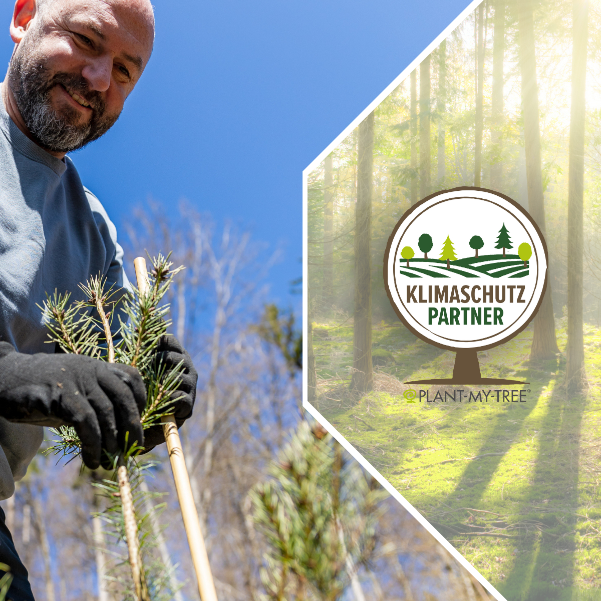 Geschäftsführer der eMBIS, Markus Bockhorni beim Pflanzen eines Baumes und das Klimaschutz-Partnersiegel von PLANT-MY-TREE®
